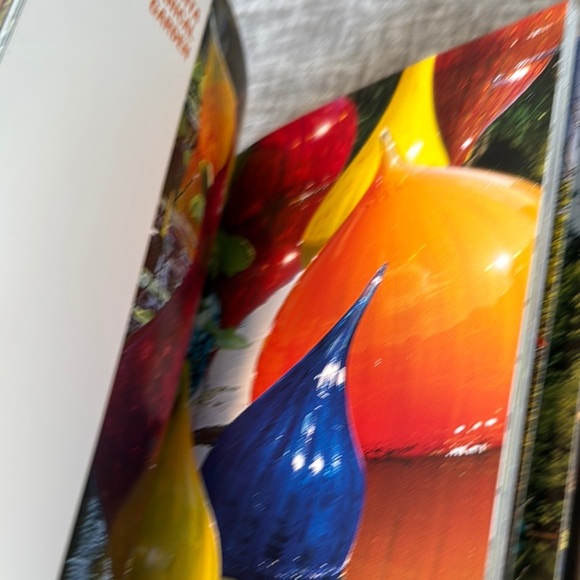 Chihuly Outside Art DVD - Picture 6 of 12